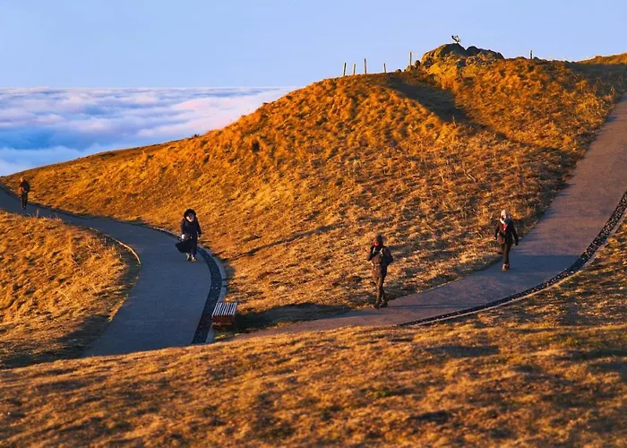 Отель Ibis Styles Gare